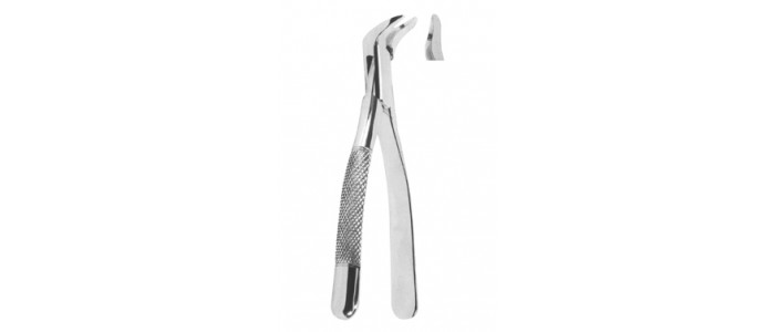 Extracting Forceps American pattern $1.45 (37)